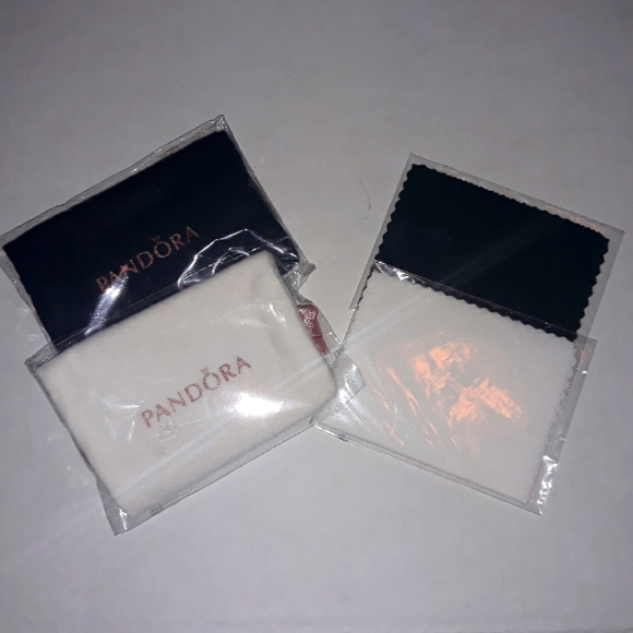 (New) Pandora Cleaning Kit - Picture 5 of 7